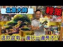 【H-】盆景大師