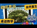 教學視頻