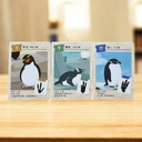 【14】企鵝蹤跡