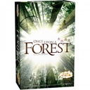 【C4】木林森處 (環保系列之生態平衡)